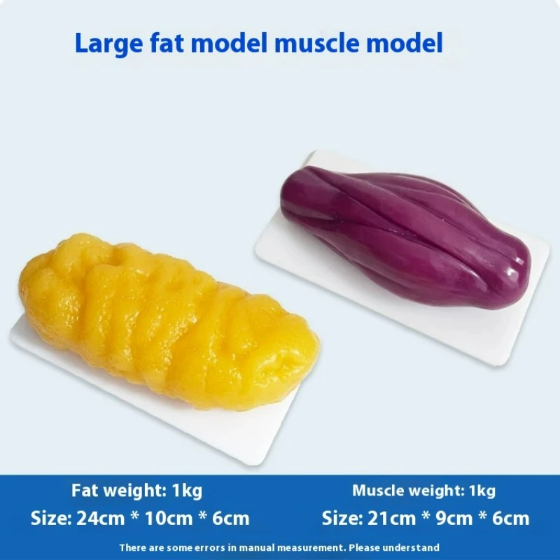 Human Muscle and Fat Replicas  - огляд і ціна Nutrition Fitness