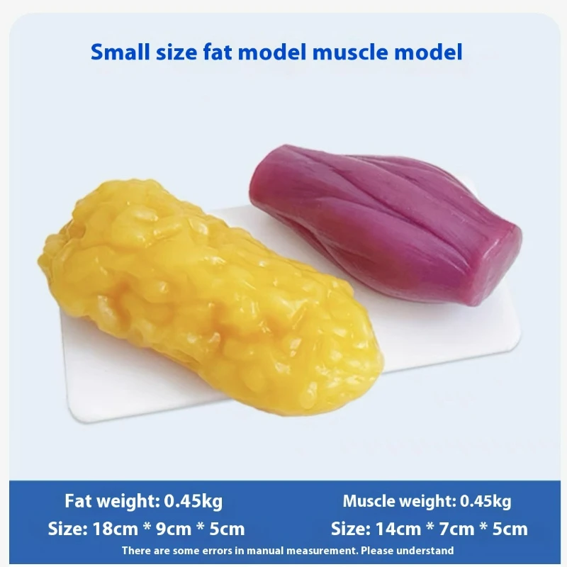Human Muscle and Fat Replicas  - огляд і ціна Nutrition Fitness